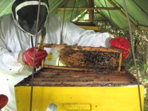 tuta e kit completo per apicoltore da donare in Africa